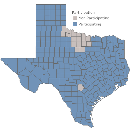 Homelessness in Texas: A Snapshot - Texas Homeless Network